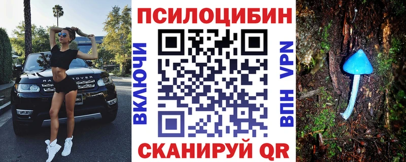 Галлюциногенные грибы Psilocybine cubensis  Купить где  Новороссийск 